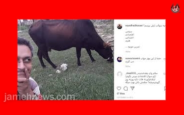 حاشیه های دادگاه رسیدگی به پرونده عکس سلفی خبرنگار با یک «گاو»