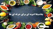 ادویه جنوب و انواع آن