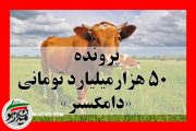 پرونده ۵۰ هزار میلیاردتومانی «دامگستر» | اطلاعات جنوب همچنان در حال تحقیق است!