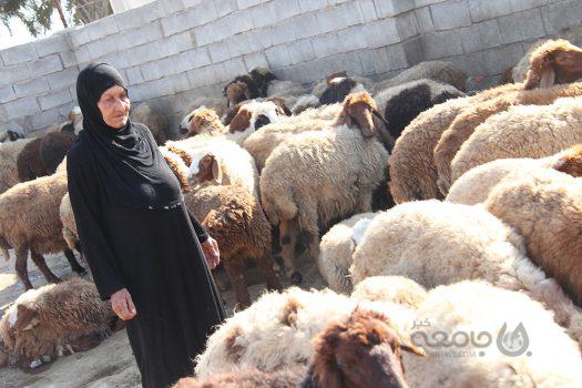 گفتگوی جامعه خبر با مادر «صدام»/ پسرم راه بلد «چمران» بود!